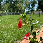 Bed and Breakfast La Perla Dei Gemelli Agerola